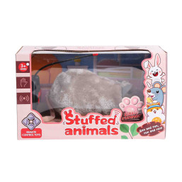 R/c Mouse